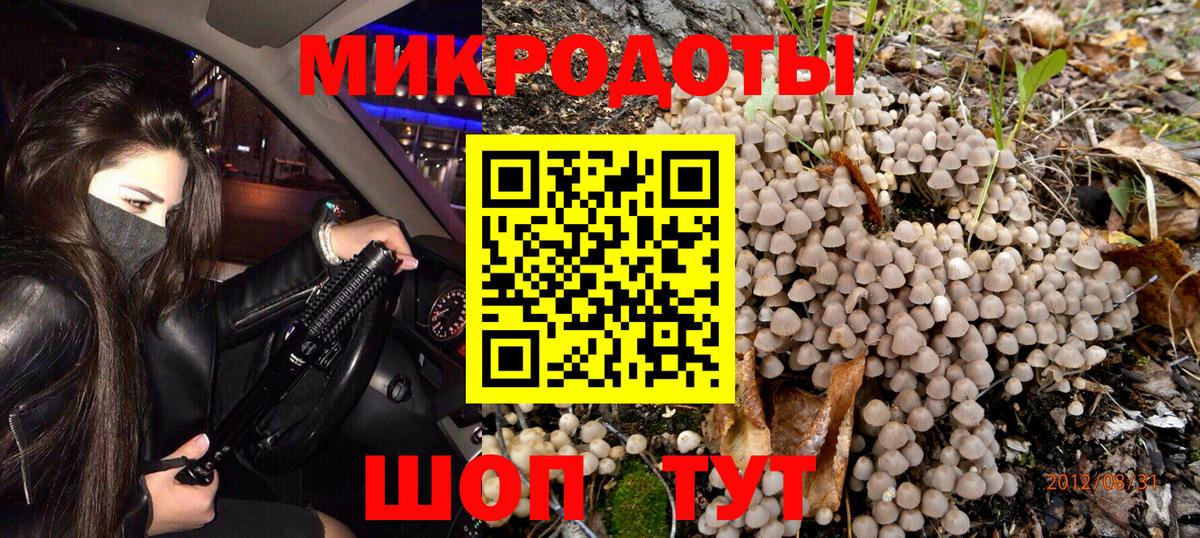 Казань  Галлюциногенные грибы Psilocybe  Вход с VPN 